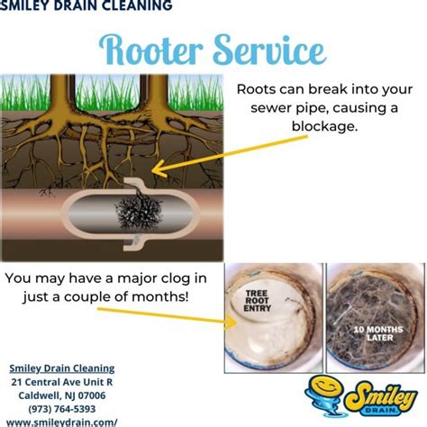 rooter service near me|Rooter Service Explained: What It Is, Why You Need It and How .